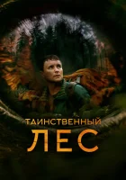  Таинственный лес смотреть онлайн (2023) 